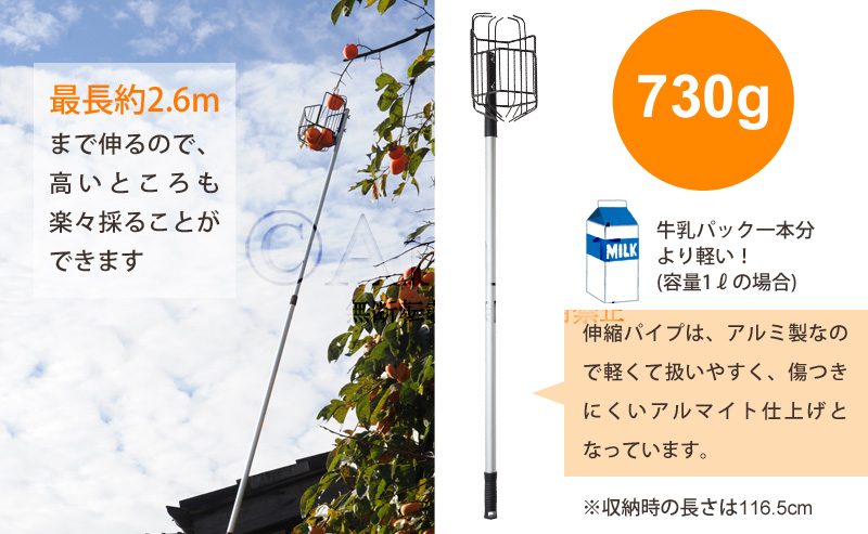 76872 お庭の柿採りバスケット